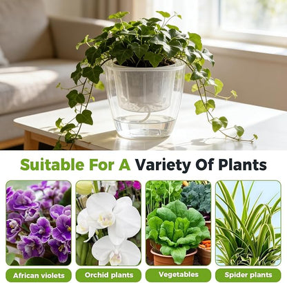 6-Pack 7 Inches Clear Self Watering Planters for Indoor Plants Large African Violet Plant Pots Plastic Wick Flower Pots with Water Injection Hole, Orchid Plant Pot Set, Clear