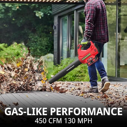 PowerSmart 40V Leaf Blower Cordless, 650CFM 150MPH Performance with 2 x 2.0Ah Batteries & Chargers Included,Powerful Blowers for Lawn Care, Patio, Dust, Blowing Leaves and Dust