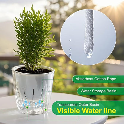6 Inch Self Watering Pots for Indoor Plants, 2 Pack Self Watering Planter, Self Watering Pot with Reservoir, Clear Self Watering Pots for Indoor Plants, African Violets (2 Pack, 6", Clear)