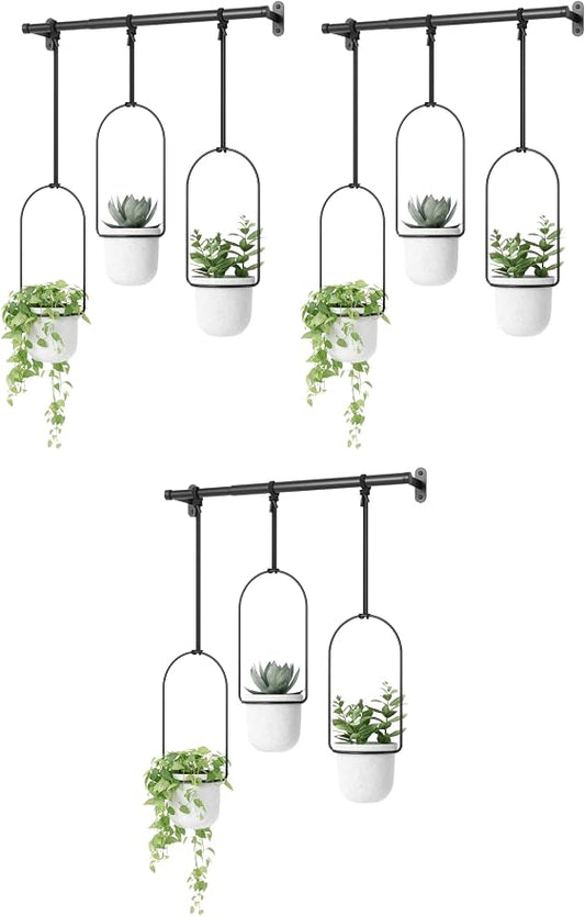 Umbra Triflora Hanging Planter for Window, Indoor Herb Garden, Set of 3, White/Black (Pack of 3)