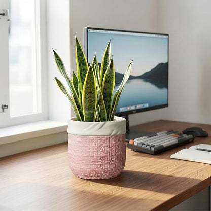 6 Inch Plant Pot - Ceramic Planter for Indoor Outdoor Plants, Round Decorative Planter with Drainage Hole and Plug, Boho Plant Pots, House Room Garden Decor, Plant Lover Gifts, Pink