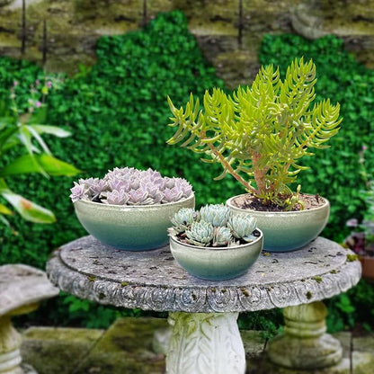 11 9 7 Inch Succulent Pot with Drainage and Mesh Pads Large Round Ceramic Plant Pot for Indoor Outdoor Plants Succulent Planter Cactus Bonsai Pot Container Set of 3 (White Green)