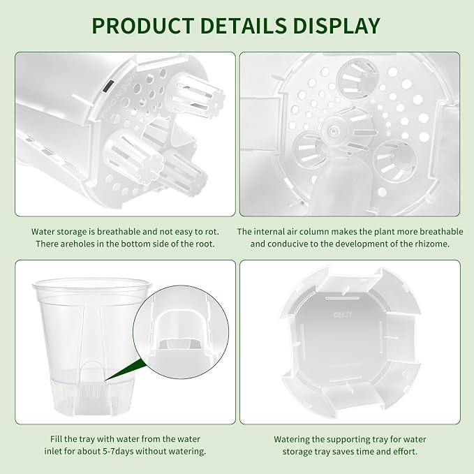 Cdd's Path 6 Inch Clear Self Watering Pots Set, 12 Pack Naked Root Planter with Deep Water Tank, Large Drainage Holes, Reservoir & Air Pipes for Indoor Outdoor Plants, Flowers, Seedlings