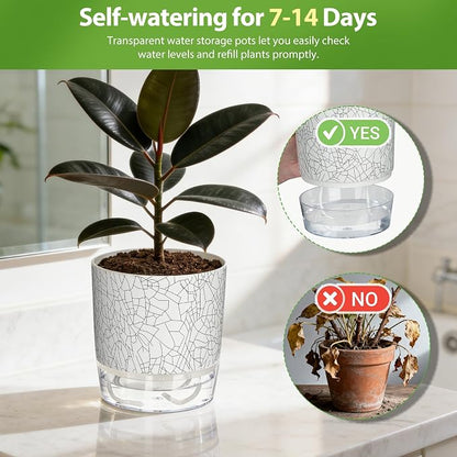 6 Pack Self Watering Pots for Indoor Plants, 4+5.5+6.3 Inch Self Watering Plant Pots Set, Flower Pots with Wick Rope and Reservoir for African Violet, Spider Plant, Orchid - Crack Texture