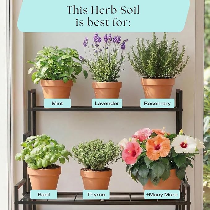 Rosy Soil Herb Mix, Organic Indoor and Outdoor Herb Potting Soil, 4 Quarts | Biochar, Worm Castings, Mycorrhizae Blend, Peat-Free, Fast Draining, for Basil, Cilantro, Lavender, Thyme, Mint, Rosemary