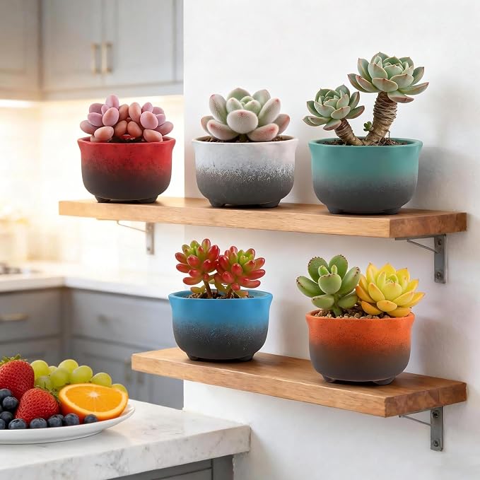 Small Ceramic Garden Pots Succulent Plant Planter Container with Drainage Set of 5 for Home Office Decor
