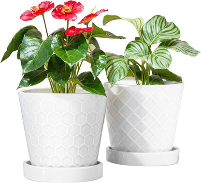 BUYMAX Plant Pots Indoor –6 inch Ceramic Flower Pot with Drainage Hole and Ceramic Tray - Gardening Home Desktop Office Windowsill Decoration Gift, Set of 2(White)