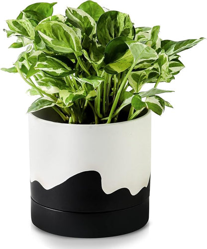 Nihow Ceramic Plant Pot,6 Inch Planter with Drainage Hole&Saucer for Indoor | White & Black,Indoor & Outdoor, Cylinder Round Flower Pot, For Succulent/Herbs/Violets