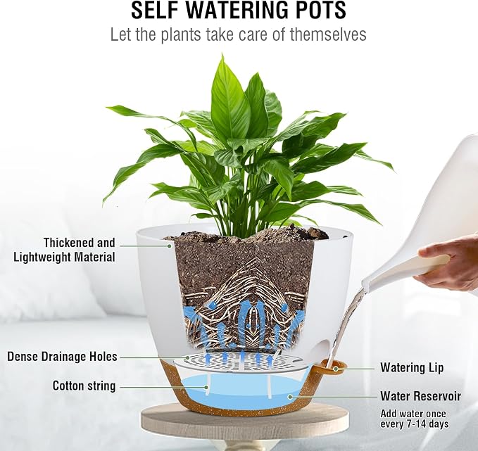 Meowell 10 inch Self Watering Hanging Planters, 2 Pack Hanging Baskets for Indoor Outdoor Plants, Hanging Flower Pots with Drainage Holes & 2 Kinds of Plant Hangers for Garden Home Décor, White Brown