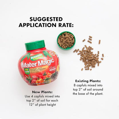 Dynamite Mater Magic - Organic Tomato Fertilizer for Bigger, Juicier Tomatoes and Vegetables, OMRI Listed, Nitrogen and Calcium-Rich Plant Food - .675 Pound Container with Shaker Lid (Pack of 2)