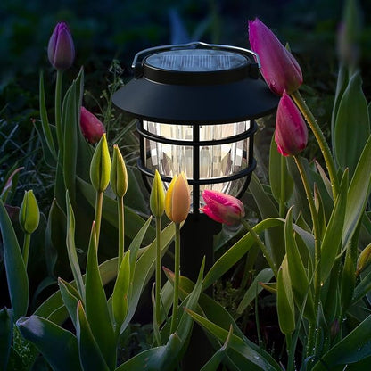 10 Pack Solar Pathway Lights Outdoor - Bright Solar Powered Garden Light with Warm White LED, Auto On/Off Waterproof Path Lights Decorative, Landscape Lighting for Yard Patio Walkway Driveway