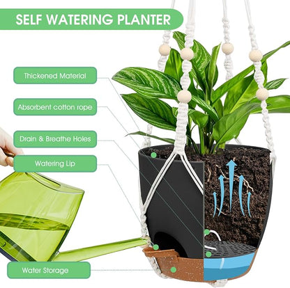 Vanslogreen Hanging Planters for Indoor Outdoor Plants, 2 Pack Self Watering Hanging Pots, Hanging Plant Baskets with Drainage Holes & 2 Types of Plant Hangers (Black, 6'')