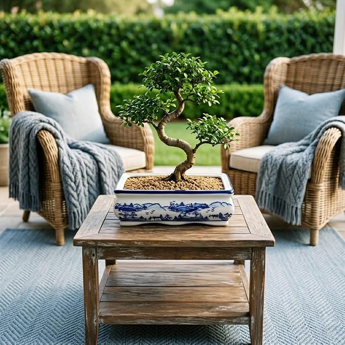 Blue and White Ceramic Bonsai Pot Large Shallow Bonsai Trees Pot Planter for Outdoor Use, 9" Ceramic Plant Pots with Drainage Hole for Cacti, Orchids, Succulents, Bonzie Tree Pots for Patio, Garden