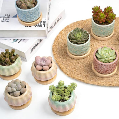 8 Pcs Succulent Pots with Ice Crack Glaze, 2 Shapes & 8 Colors Ceramic Succulent Planters with Drainage Holes & Bamboo Saucers, Indoor Plant Pots for Home Garden，Desk Decor, Office Decor, Gift Idea