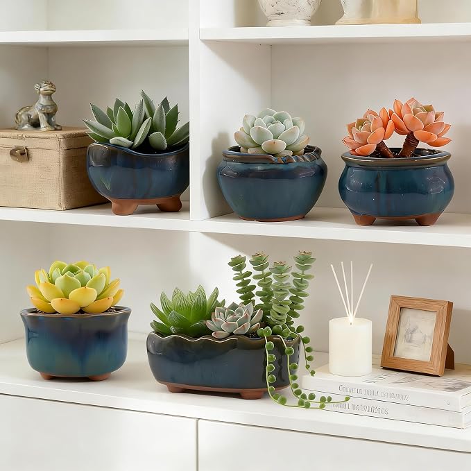 Ceramic Succulent Garden Pots Small Plant Planter Container with Drainage Set of 5 for Home Office Decor