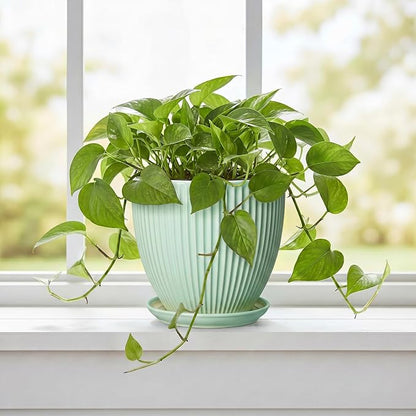Ceramic Pots for Indoor Plants, 6 Inch Plant Pot with Drainage Hole and Saucer, Round Modern Planters, Decorative Pots for Plants, Home Living Room Decor, Gifts for Plant Lovers, Mint Green