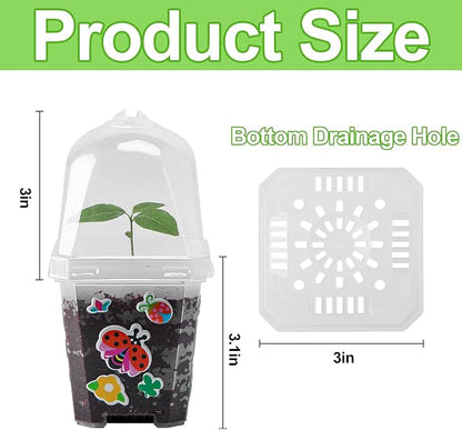 EBaokuup 10 Pack Clear Plant Nursery Pots with Humidity Dome-3" Reusable Plastic Gardening Pot with Printed Labels-Small Seed Starting Pots for Seedlings Vegetables Succulents Cuttings