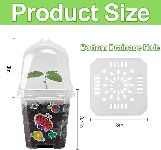 EBaokuup 10 Pack Clear Plant Nursery Pots with Humidity Dome-3" Reusable Plastic Gardening Pot with Printed Labels-Small Seed Starting Pots for Seedlings Vegetables Succulents Cuttings