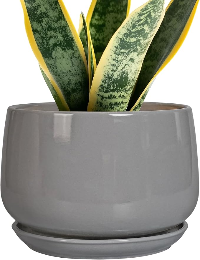 G EPGardening Ceramic Planter 7 Inch, Round, Modern, Grey | with Drainage, Ceramic Tray Included, Indoor Use, Flower & Home Decor