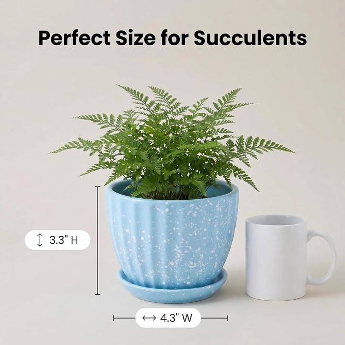 4 Inch Ceramic Indoor Succulent Plant Pots with Drainage Holes and Saucers, Bonsai Planter for Succulent, Cactus, Small Flowers (Blue)
