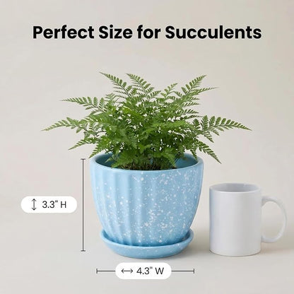 4 Inch Ceramic Indoor Succulent Plant Pots with Drainage Holes and Saucers, Bonsai Planter for Succulent, Cactus, Small Flowers (Blue)