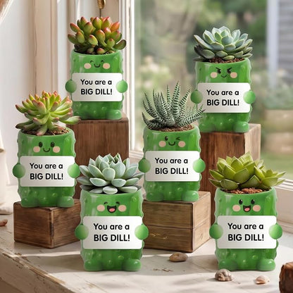 6 Pack 2.5 Inch Pickle Ceramic Succulent Planter Pots with Drainage Hole, Mini Cute Flower Pots Container for Home Office Garden Decoration Emotional Support Buddies Christmas Housewarming Gifts