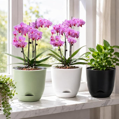 QCQHDU 2 Pack 5.7Inch Orchid Pots with Holes for Repotting, Double-Layer and Self Watering Orchid Pot with Good Air Circulation