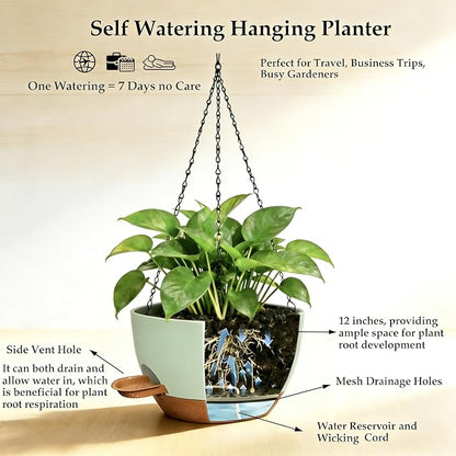 12 Inch Self Watering Hanging Planters 2 Pack, Green Brown | Plastic planters with drainage holes and saucers. Suitable for indoor, outdoor, kitchen, balcony and garden plant decor.