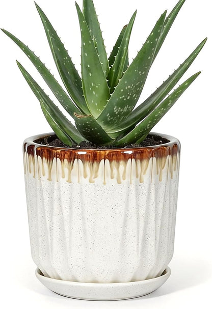 7.5 Inch Ceramic Planter Pot with Saucer Drainage Leak-Proof Mesh,Flower Pots for Indoor Plants with Gardening Gloves,Ceramic Planter(Linen White)