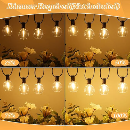 Bosceos 100ft Outdoor G50 LED Globe String Lights Dimmable Waterproof Shatterproof Light Strings with 52 Bulbs Connectable Commercial Hanging Lights for Christmas Patio House Backyard Balcony Party