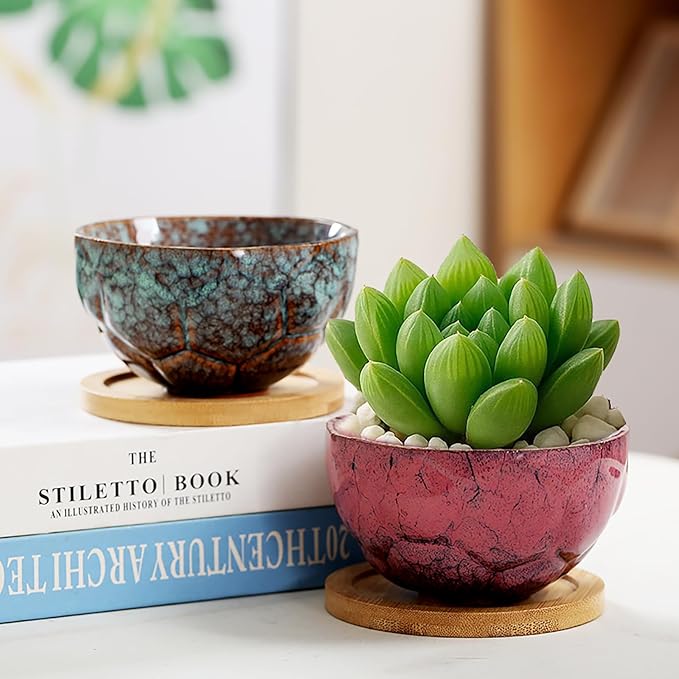 YYW Ceramic Succulent Planter, 4 Pack Cute Garden Pots with Drainage and Attached Saucer