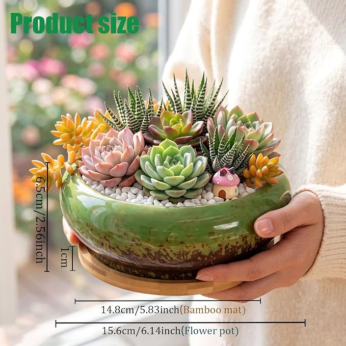 Drzewo Succulent Pots, Succulent Pots with Drainage & Bamboo Tray, 7-Inch Ceramic Drip Glazed Shallow Planter Container Bowl for Indoor Outdoor Plants, Decorative Garden Cactus Flower