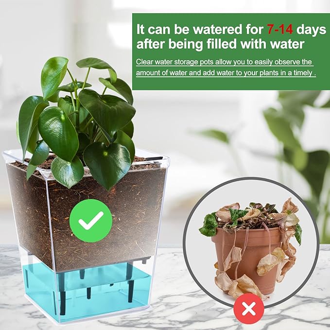 Self Watering Pots Set, 5 Pack 2.7 Inch Self Watering Pots for Indoor Plants, Clear Planter Pot with Deep Reservoir for Spider Plant, Orchid, African Violet (5Pcs Small)