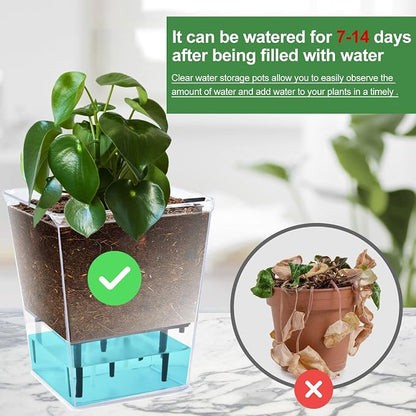 Self Watering Pots Set, 3 Pack 2.7 Inch Pots for Indoor Plants, Clear Nursery Planter with Deep Reservoir for Succulents, Seedlings, Small Plants