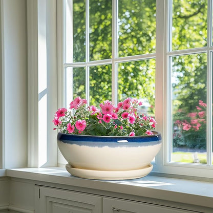 SQOWL Bonsai Tree Pots, 12 Inch Ceramic Succulent Planters, Blue-Beige | Large Bonsai Pot with Drainage Hole and Tray, Shallow Planter Indoor, Bowl Round Planter, Home Decor, Plant Lover Gifts