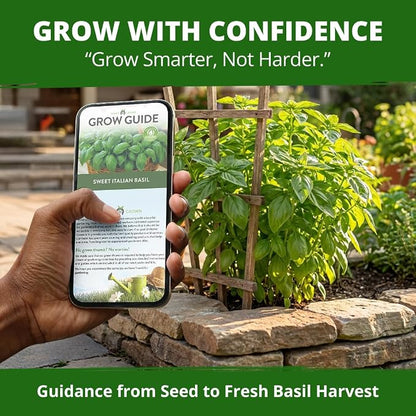 HOME GROWN Non GMO Italian Basil Seeds Bulk Pack 1,424 Sweet Large Leaf Basil Seeds for Planting and Heirloom Herb Seeds for Planting Indoors or Outdoors (Ocimum basilicum)