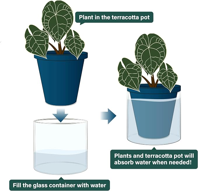 D'vine Dev 6 Inch Design Self Watering Planter for Indoor Plants, Blue Terracotta Pot with Cylinder Glass Cup, 37-X-B-4