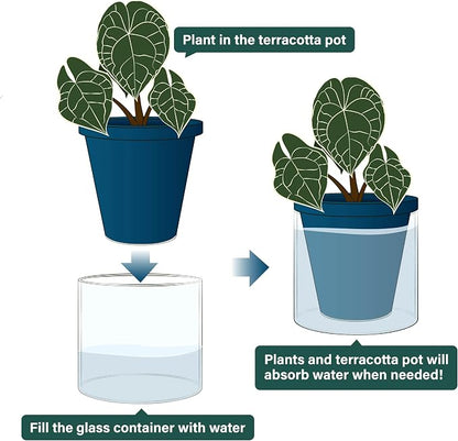D'vine Dev 6 Inch Design Self Watering Planter for Indoor Plants, Blue Terracotta Pot with Cylinder Glass Cup, 37-X-B-4