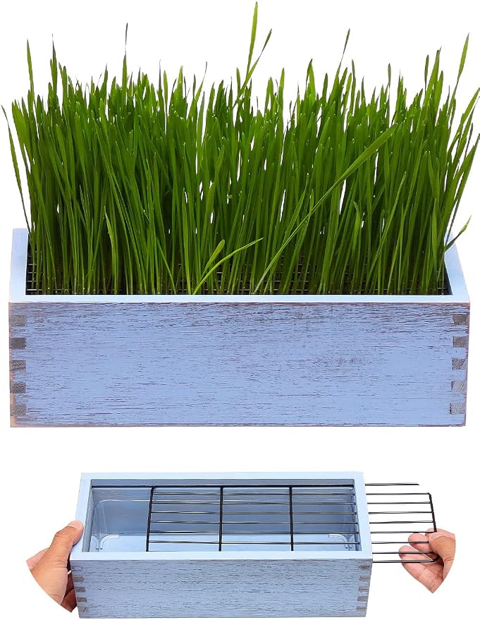 Wooden Cat Grass Planter (no Seeds Included) for Indoor Cats | Anti-Digging Design, Removable Plastic Liner, Easy to Clean, Mess Free, Wheat Grass Growing Pot for Cats Rabbits Pets