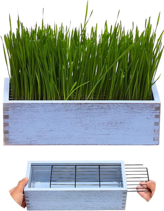 Wooden Cat Grass Planter (no Seeds Included) for Indoor Cats | Anti-Digging Design, Removable Plastic Liner, Easy to Clean, Mess Free, Wheat Grass Growing Pot for Cats Rabbits Pets