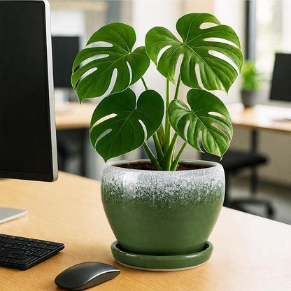 Deep Dream 8 Inch Plant Pots- Ceramic Pots for Plants with Drainage Hole and Saucer, Large Planter Pot for Indoor Plants Outdoor Decor, Blackish Green