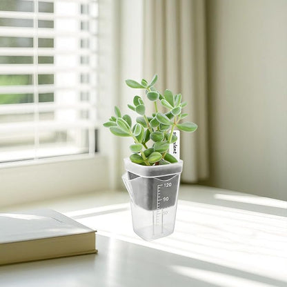 15 Pack 2" Self Watering Pots for Indoor Plants,Mini Clear Plastic Planters with Water Level Indicator & Drainage Holes for Alocasia Propagation, African Violets, Seedlings, Cuttings and Succulents