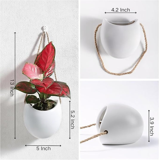 Set of 3 Ceramic Wall Planters Decor Small Hanging Vases Lovely Flower Pots | Wall Decor for Home, Entryway, Hallway, Deck, Bathroom, Living Room, Dining Room, Garden, Farmhouse, Restaurants, Office, etc