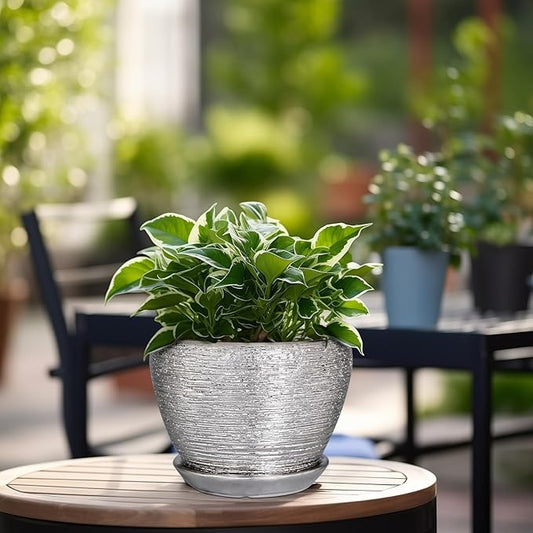 Ceramicfor Ceramic Planter - 6 Inch Plant Pot Indoor with Drainage Hole and Saucer Outdoor Pot for Plants Round Decorative Planter Modern Mid-Century Flower Pot for Office Decor Silver