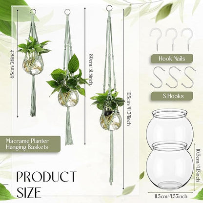 Colingmill 6 Pcs Plastic Plant Propagation with Boho Macrame Hanger Wall Plant Propagation Station Hanging Holder Include Hooks Kit for Indoor Home Garden Office Decor 3 Size (Sage Green)