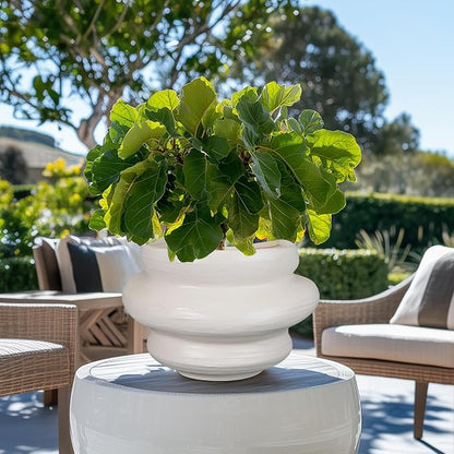 Ceramic Plant Pots Bonsai 10.6 Inch - Flower Pots for Indoor Plants, Large Plant Pots with Drainage Hole, Decorative Planter Outdoor Flower Pot for Office, Gift for Men Women, White