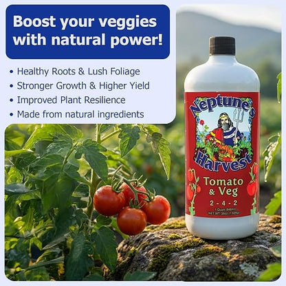 Neptune’s Harvest Organic Tomato & Vegetable Plant Fertilizer (2-4-2) - Liquid Plant Food w/Fresh Fish, Seaweed, Molasses, Yucca Extract, & Humic Acids - for Vegetable Garden (Quart (Single))