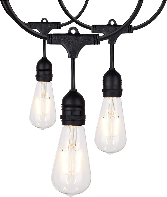 Satco S8036 LED Indoor/Outdoor String Lights, Black, ST19 Bulbs, 24 Feet (Pack of 1)