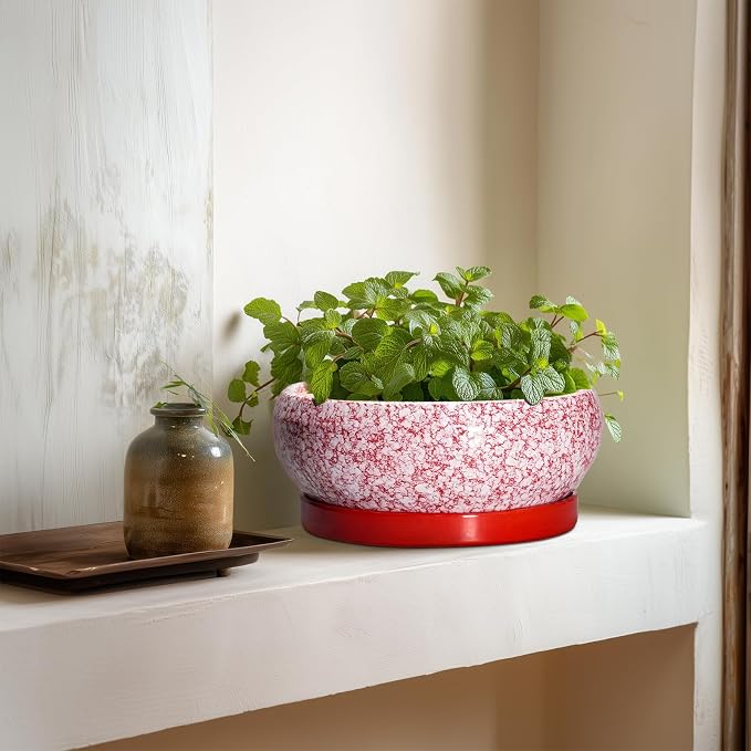 Succulent Pots - 8 Inch Bonsai Pots for Indoor Outdoor, Shallow Ceramic Planter with Drainage Hole and Saucer, Round Flower Succulent Planters, Room Decor, Gifts for Plant Lovers, Red