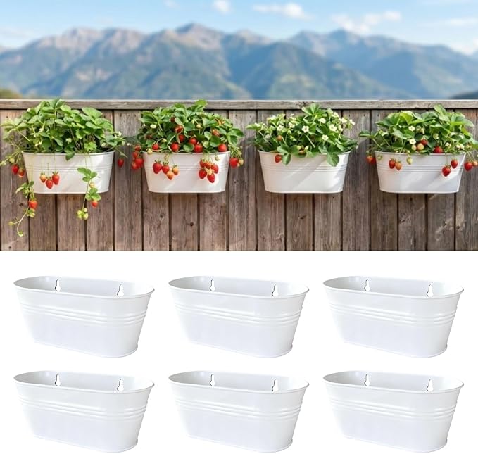 LaLaGreen Wall Planter (9.8 Inch, 6 Pack) White Oval Metal Pot Hanging Decor Flower Railing Fence Pots Mounted Indoor Plant Holder Porch Decorations Drainage Garden Plants Planters Balcony Home Yard